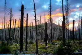 Climate change in Oregon