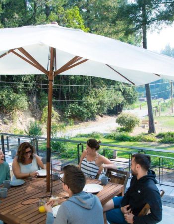 Bay Area Green Tours